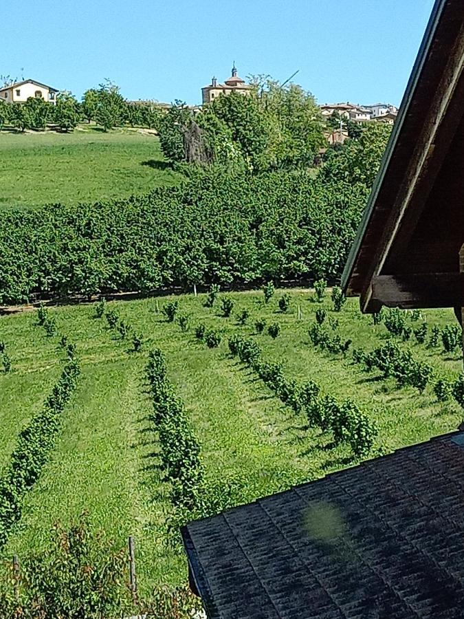 Appartement Vite Dipinte 1 Bilocale In Langa à Novello Extérieur photo